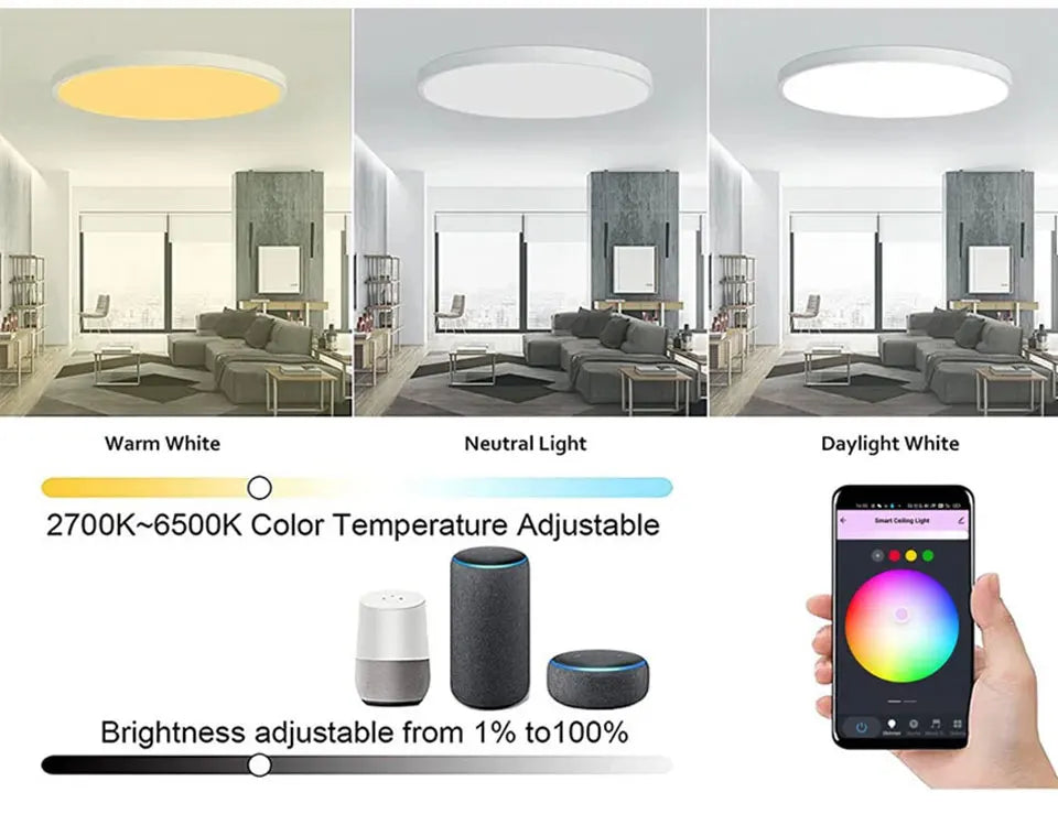 Smart WiFi BLE LED Ceiling Light AC 220V 24W