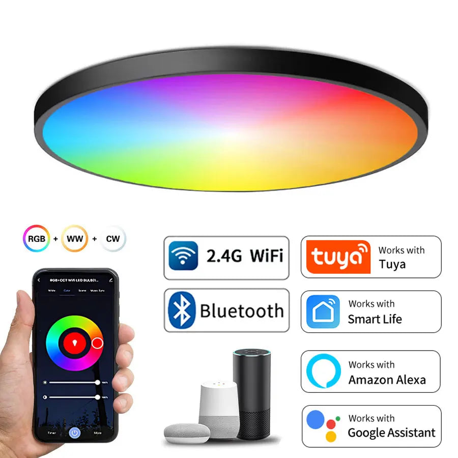 Smart WiFi BLE LED Ceiling Light AC 220V 24W