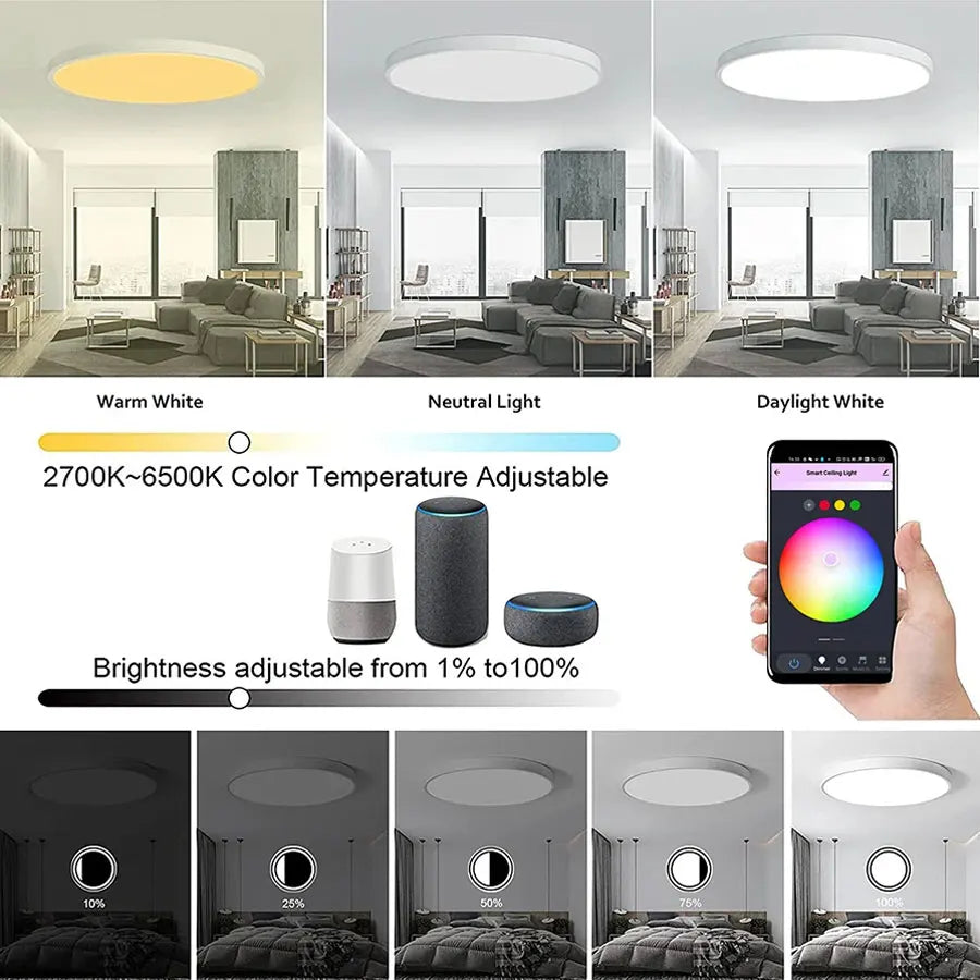 Smart WiFi BLE LED Ceiling Light AC 220V 24W